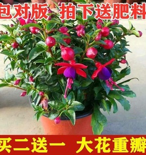 ��ɏ�������Ե�����R������R���҃��̨�ļ��_�����\����������