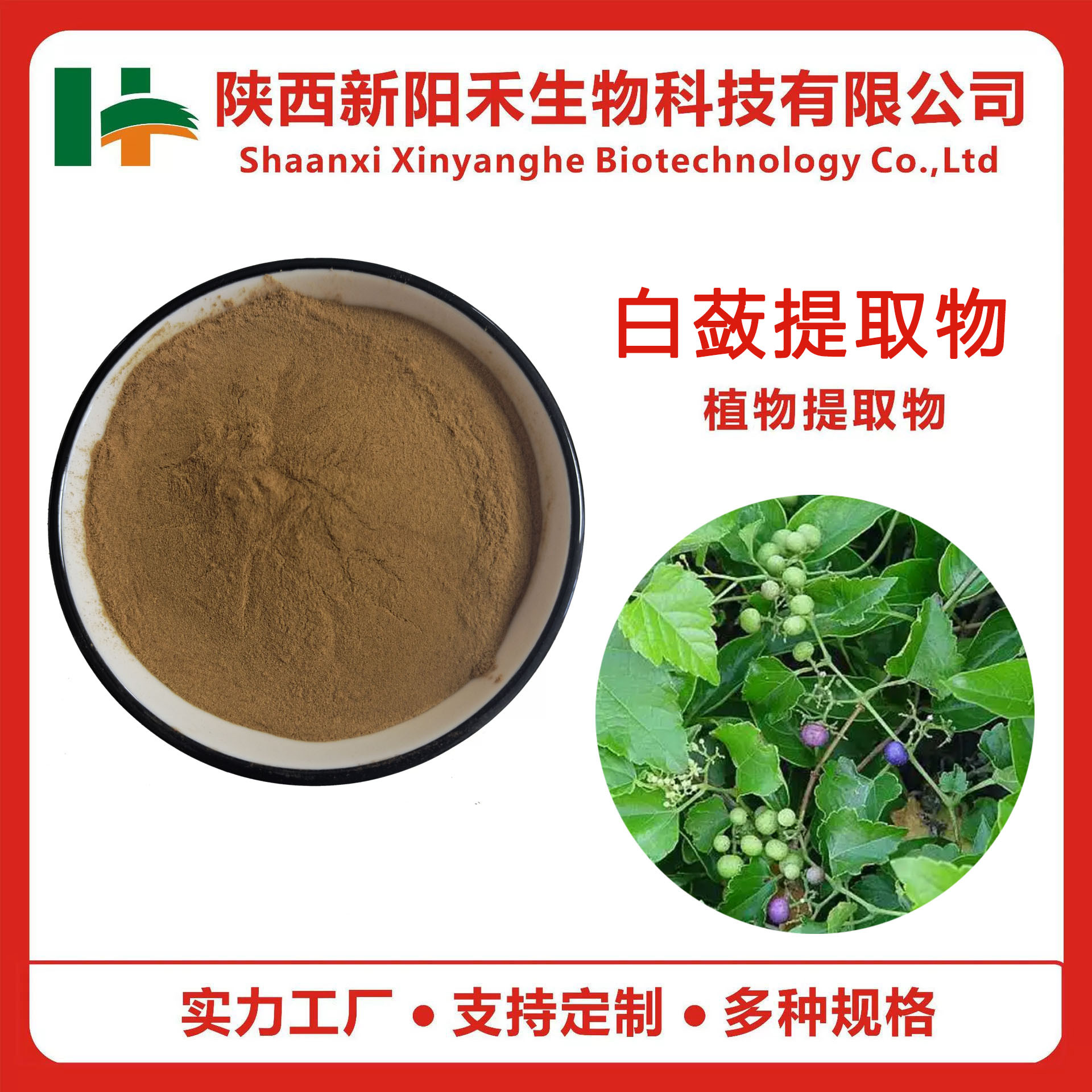 白蔹提取物 白蔹粉 白蔹萃取粉  白蔹浸膏干粉 白蔹多糖 白蔹喷雾