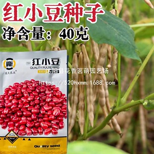 ��־�tС���N�Ӽt���G���N�������Ѵ�����ظ߮a���������촺�Ĳ�