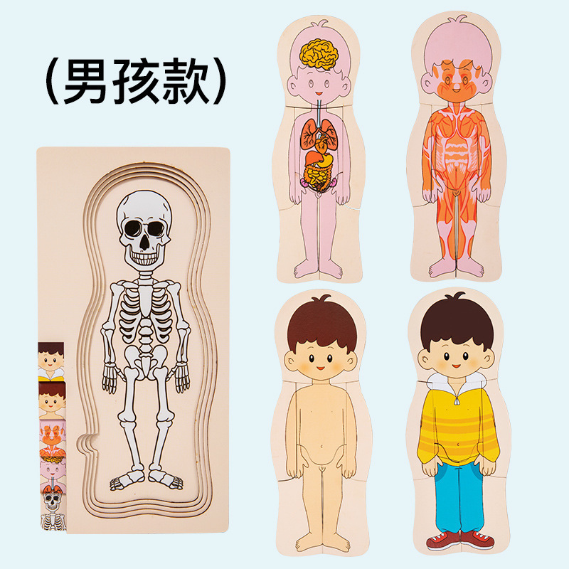Multilayer physiological brainteaser for boys