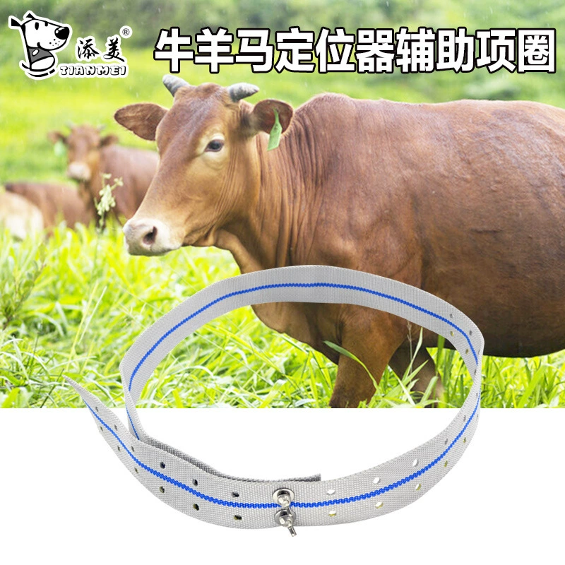 Животноводство крупного рогатого скота, овец и лошадей на открытом воздухе локатор GPS установлен фиксированный ошейник из нержавеющей стали для предотвращения падения регулировки шеи