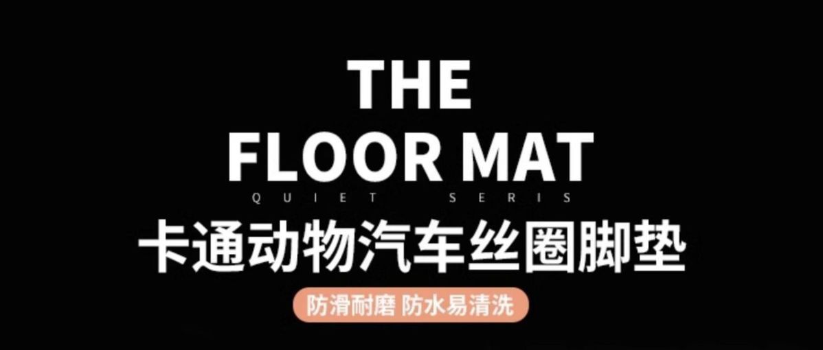 Car wire loop floor mat, single piece for the driver's side and passenger side, carpet-style driver's seat floor mat, universal