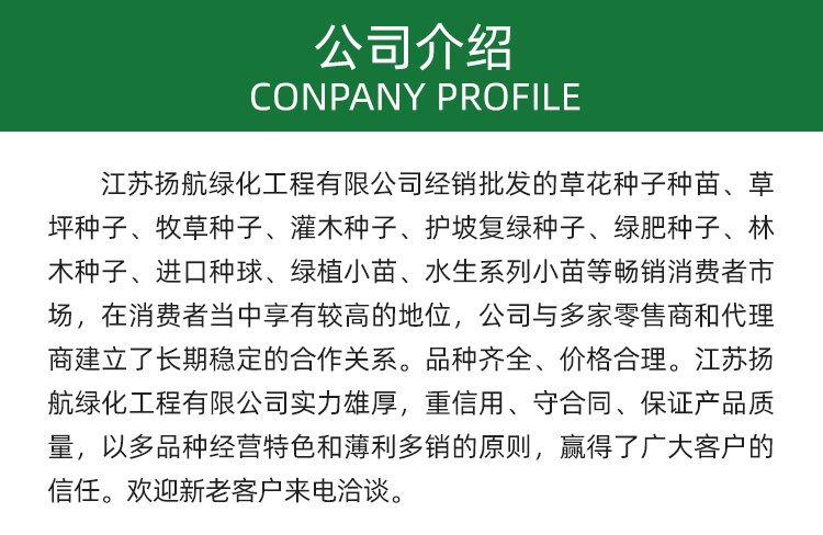 公司介绍无号码