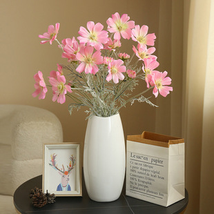 ins�L��˹�շ��滨��ɣ���ٻ����� �������üҾӿ͏d�bS�����l