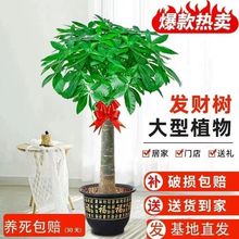 lؔÿ͏dGֲk_IͶY҃ȘBļ