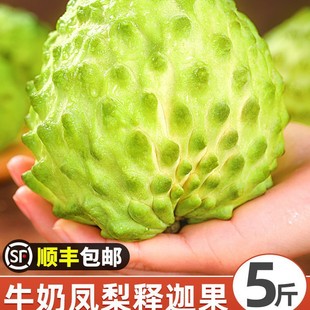 ��ȹ����r����֦5���Ŀ�P��ţ�̷��^������Ħ�������ˮ��3��S
