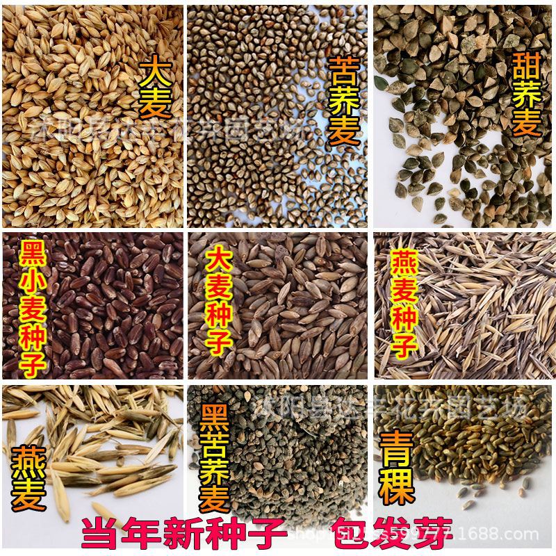 3727d838c6e94f245f514f64e894b5