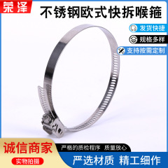 幅12mm、厚さ0.95mmのステンレス鋼304_316Lクイックリリースホースクランプ、クイッククランプ、ヨーロピアンスタイルのクイックリリースクランプ