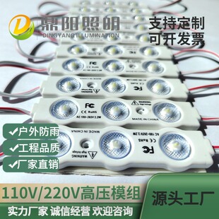 Supply of 110V220V High-Voltage 2835 Injection Molding Lens Module Aluminum Substrate for Outdoor Advertising Signs in Shopping Malls, Wholesale for Commercial Use