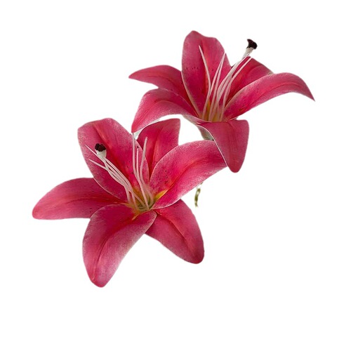 Double-headed lily simulation flower wedding wedding decoration flower material film fake flower path lead flower arrangement living room decoration