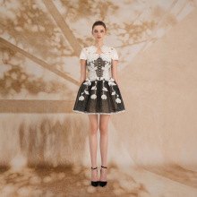 ԽСOӋRMT2025ļ¿ձLڰٽzײɫȹ