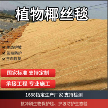 ֲ���w�S̺�����ѹ�·�F·�ɂ����B�o�¾G����������̺Ҭ�z̺