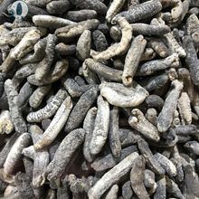 һ�����lС���d���d��ɳ�d��500�^�������l��̶Y�а��b���ی���