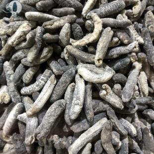 һ�����lС���d���d��ɳ�d��500�^�������l��̶Y�а��b���ی���