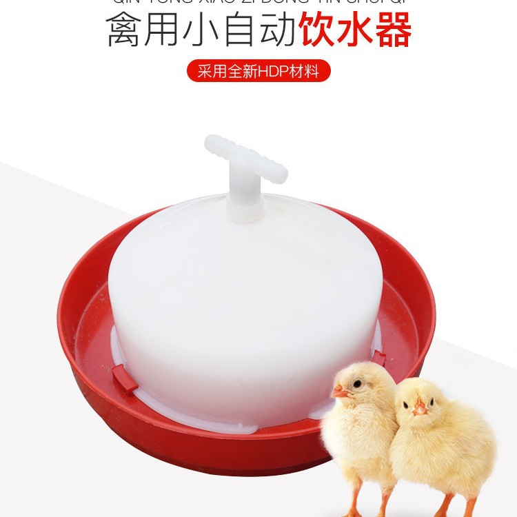 小型自动饮水器雏鸡普拉松饮水器喂水器水槽羽佳直销加厚全新熟料