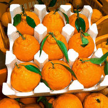 丑八怪丑橘耙耙柑橘子新鮮10斤蜜橘桔子當季時令水果整箱粑粑柑橘