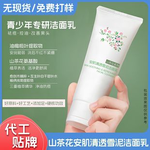 Customized Facial Cleanser for Teenagers, Boys and Girls, Adolescent Children, Amino Acid Oil Control, Acne Removal, Facial Cleanser, Oem