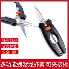 ���r�������з�������з���߼�С���rȥ�r���Aз���Q���_������