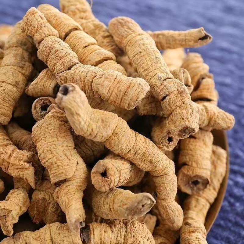 Morinda Root Powder Ba Ji Tian 500g Guangdong Dried Herb for Decoction and Tonic Blends key features