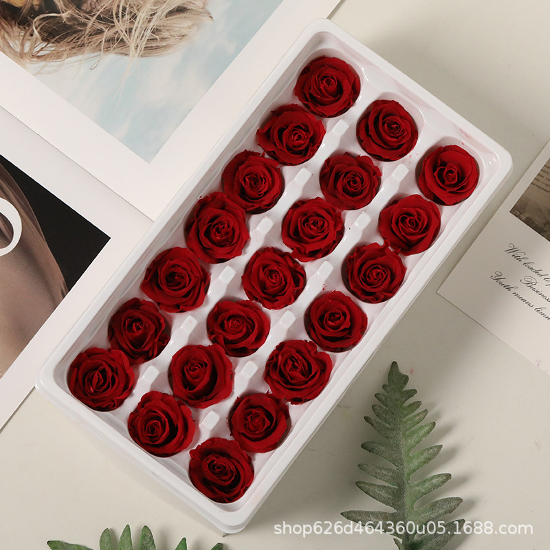 Flores inmortales Grado B 2 - 3cm rosas pequeñas flores frescas flores secas rosas DIY oso unicornio regalos de boda