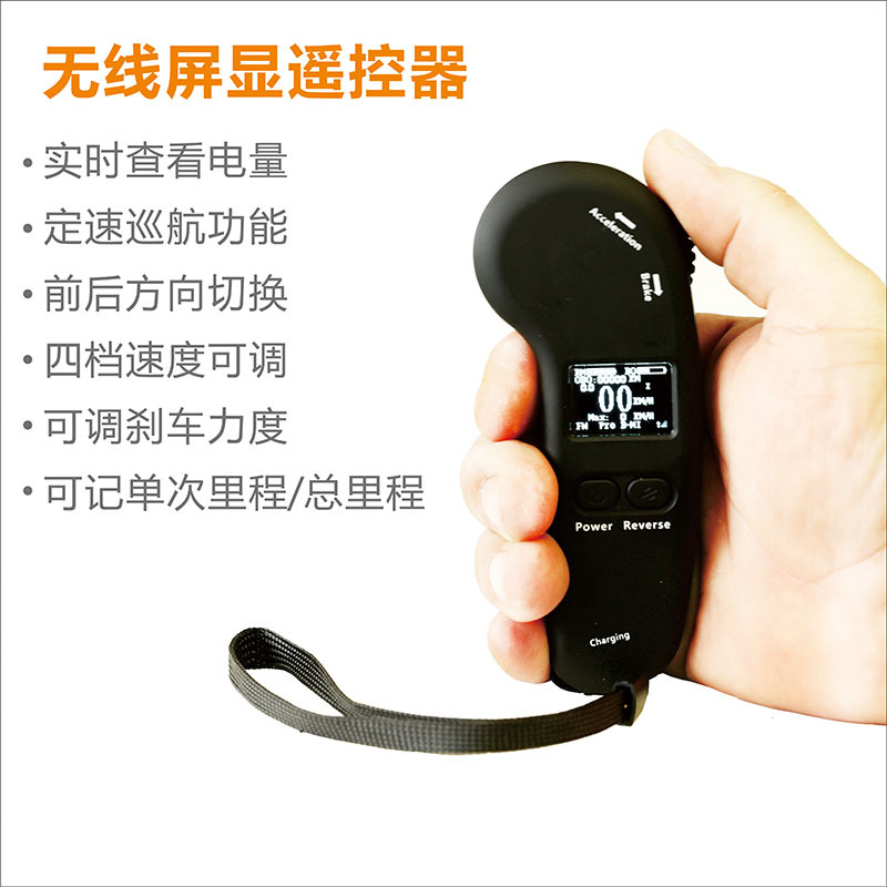 Electric Skateboard Dual Drive Detachable Battery 36V Wireless Remote