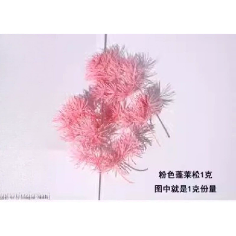Organic sample, photo frame handmade, Christmas materials set, DIY