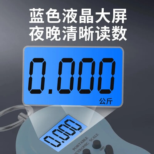 Portable Electronic Scale, Household Small Scale, Spring 50KG High Precision Mini Foldable Courier Scale Hook Vegetable Hanging Scale