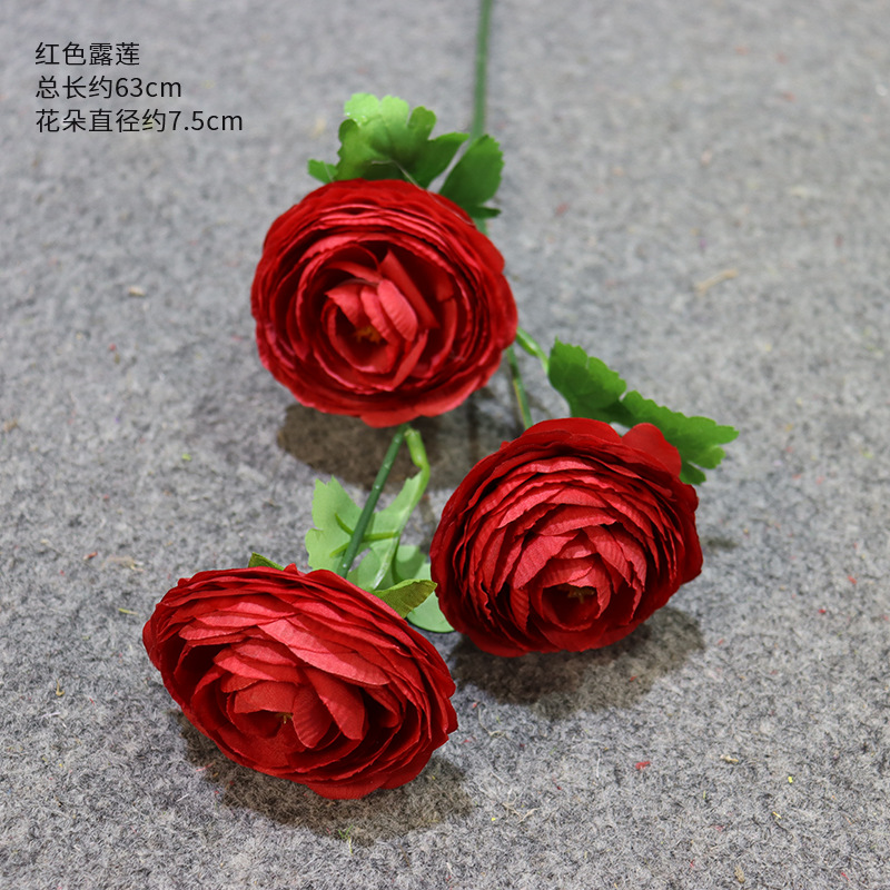 붉은 연꽃의 가지