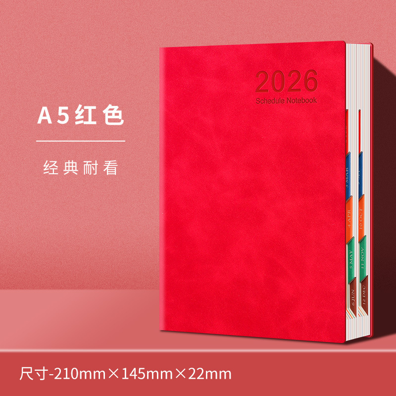 日程本2026年计划本表一日一页自律打卡效率手册每日历记事本定制|undefined