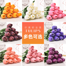 ����������������PU�ָб���ٻ���Y���ջ����廨�b����l