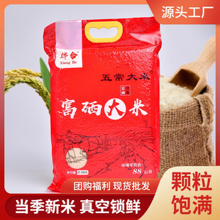 ��������5��һ���|���峣��������b�����L�����������׏S�����l