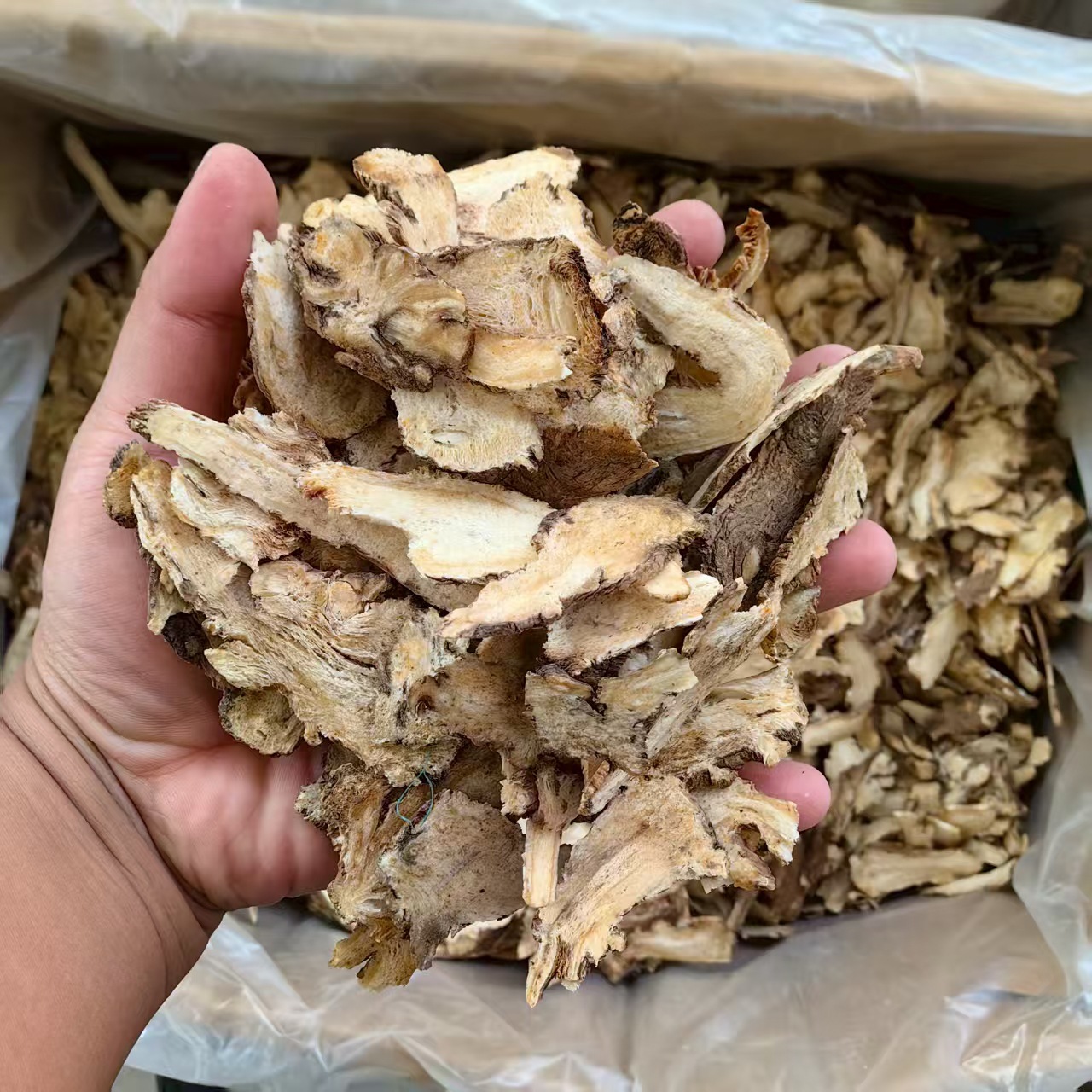 Dried Angelica Sinensis Root Slices Dang Gui 500g Minxian Gansu TCM Herbal Decoction Herb key features