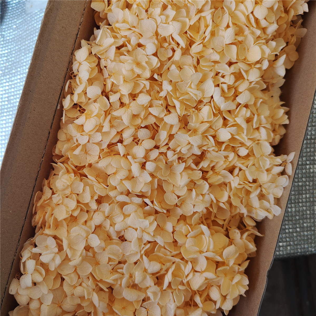 Flor eterna Hortensia Anna pequeña hoja flor seca flor real árbol de Navidad ventilador hecho a mano ramo DIY material paquete flor