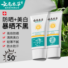 云南本草高倍美白防晒霜SPF50+正品身体防晒乳遮瑕隔离霜防晒喷雾