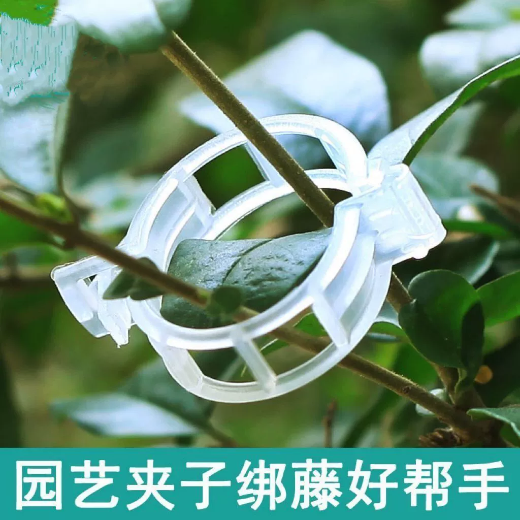Фу лоза фиксирующий Зажим вьющаяся лоза фиксирующий Зажим для зеленых растений виноградный перец баклажаны балкон установка рассады в помещении оптом