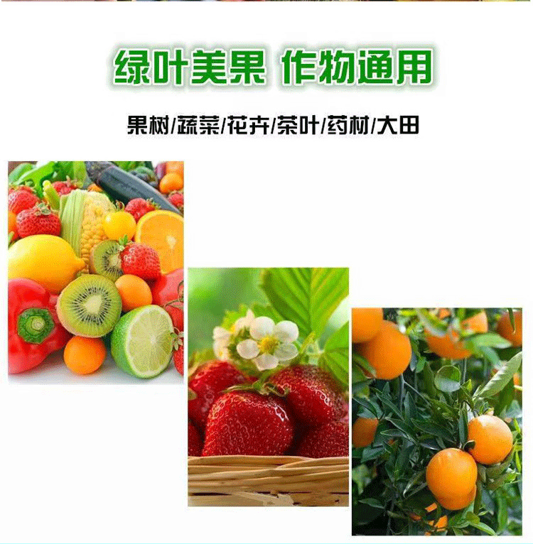 详情1-8_15.gif