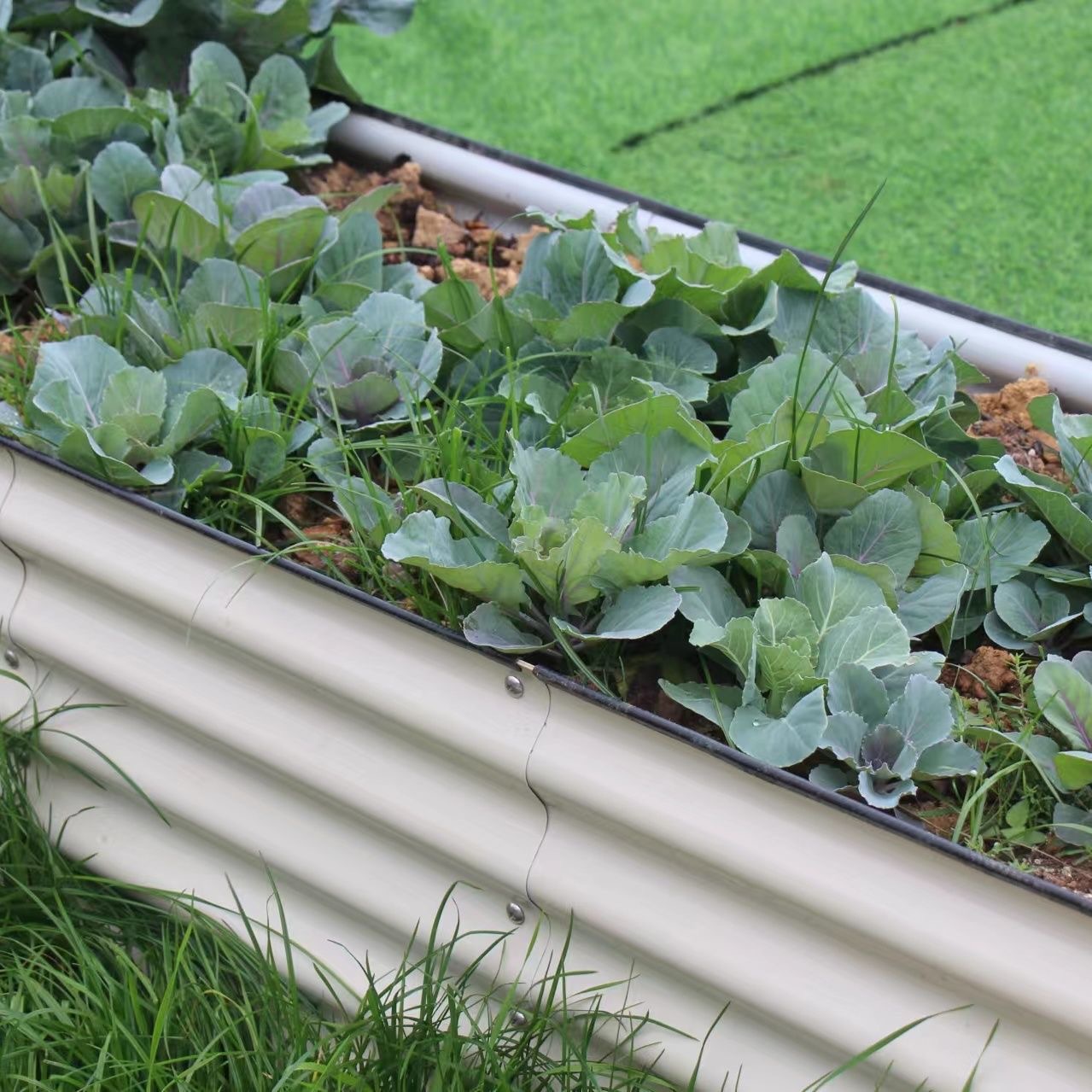Caja de plantación de cama de jardín de metal, cama de plantación de vegetales combinada, caja de flores al aire libre norteamericana, maceta de flores
