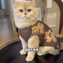 �ļ�����С؈�����͸�ⱳ�Ľ�u�Ӳ�żӢ���{؈��؈����ë���_��