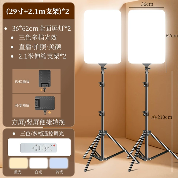 (RL-29+2.1m carbon steel bracket) double lamp