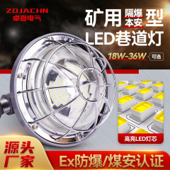 鉱山用防爆兼本質安全LEDトンネルライトDJS18~36W/127LA高温耐性丸型防爆照明