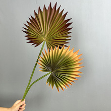 �����ȿ��~�ؙ��~���W�Lɫ��Y�p�ݻ��ҾӼٻ�Īins��ľGֲ�m��