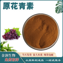 原花青素 葡萄籽花青素 葡萄籽提取物 量大从优 现货 水溶性 厂家