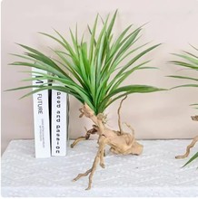 �¿�����ˮ�ݴ�����������z�ݠ����b��쾰ֲ��͏d�[�żپGֲ