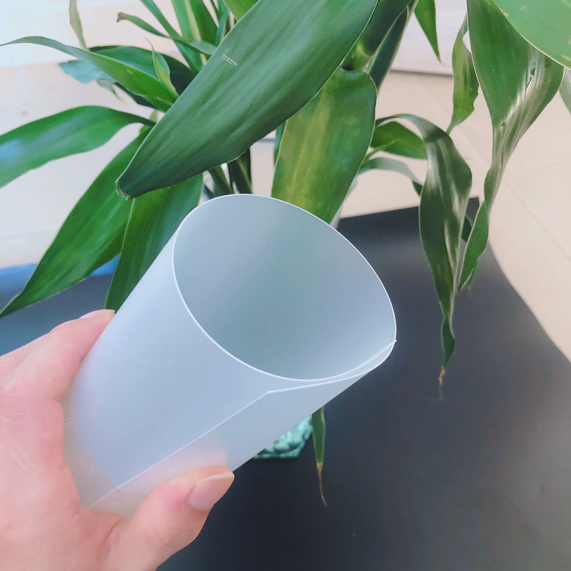 源头厂家PP透明磨砂塑料板材 磨砂半透明书面垫板箱包内衬PP片材