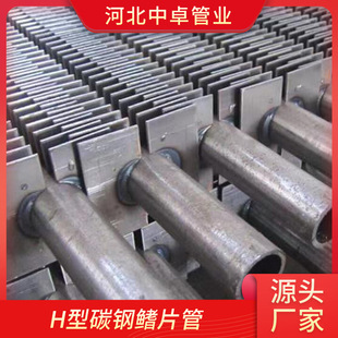 H��̼���Ƭ��偠t�S��ɢ���Ƭ��ɢ����