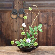 ���㻨���մɶU��͹���ʽ��ʽСԭ���廨����������脦ɽ�廨��