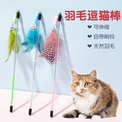 越境して爆発したペットの猫のおもちゃの斑点の羽は伸縮して猫の棒の猫をからかいます。