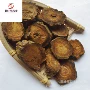 甘肃实物拍摄500g中药材