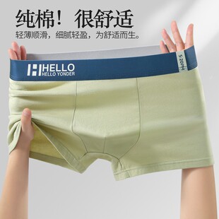 ��ʿ��ѝ����ƽ��ѝ ����͸�����m�Ľ�ѝL-4XL��a ���Sֱ�����l