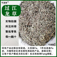 500克现晒过塘蛇 新鲜黄花过江龙过江藤现采中草药材干货药材